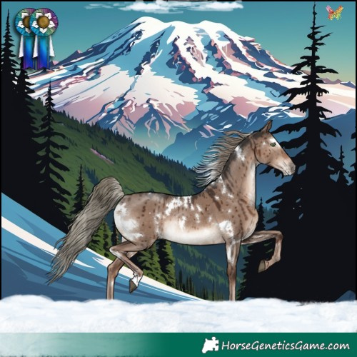 Horse Color:White Spotted Liver Red Dun Mushroom Rabicano Brindle