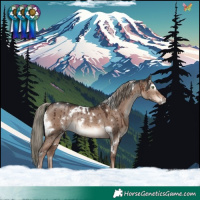 Horse Color:White Spotted Liver Red Dun Mushroom Rabicano Brindle