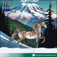 Horse Color:White Spotted Liver Red Dun Mushroom Rabicano Brindle 