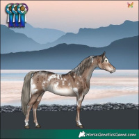 Horse Color:White Spotted Liver Red Dun Mushroom Rabicano Brindle 