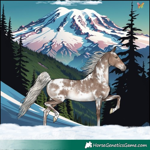 Horse Color:White Spotted Liver Red Dun Mushroom Rabicano Brindle 