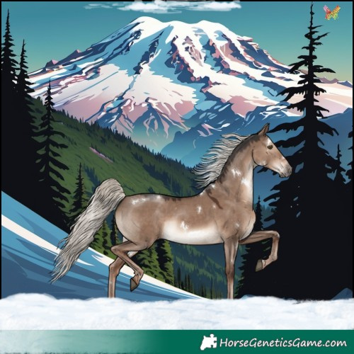 Horse Color:White Spotted Liver Red Dun Mushroom Rabicano 