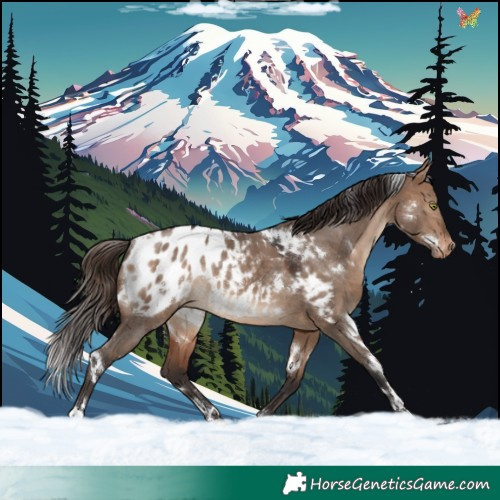Horse Color:White Spotted Bay Dun Appaloosa Rabicano 