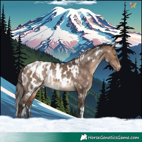 Horse Color:White Spotted Bay Dun Appaloosa Rabicano