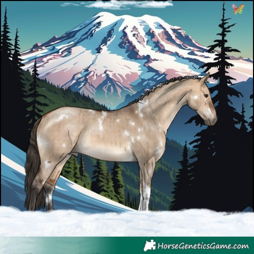 Horse Color:White Spotted Bay Dun Tobiano Rabicano Brindle 