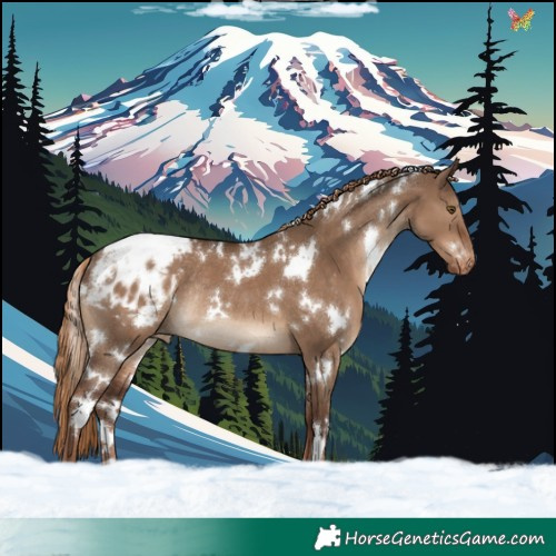 Horse Color:White Spotted Liver Red Dun Varnish Rabicano 