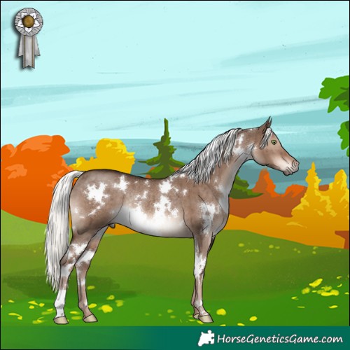 Horse Color:White Spotted Liver Red Dun Mushroom Rabicano Brindle 