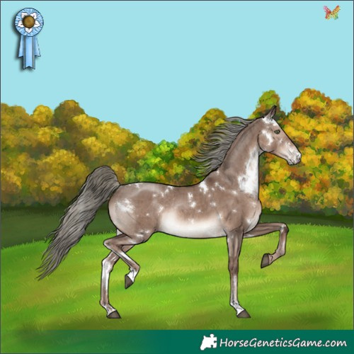 Horse Color:White Spotted Liver Red Dun Mushroom Rabicano Brindle