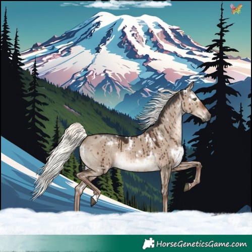 Horse Color:White Spotted Liver Red Dun Mushroom Rabicano Brindle 