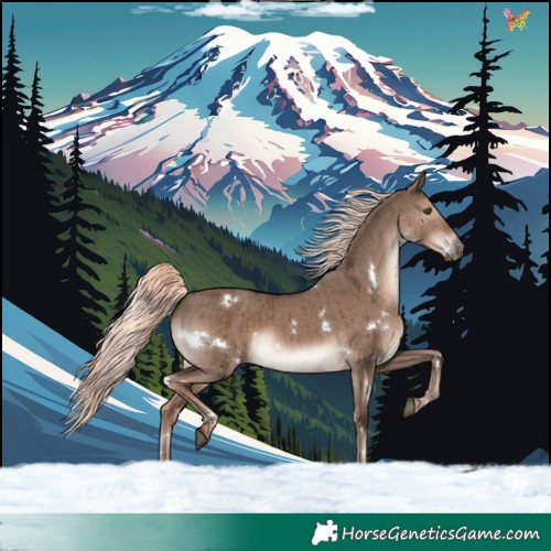 Horse Color:White Spotted Liver Red Dun Mushroom Rabicano Brindle