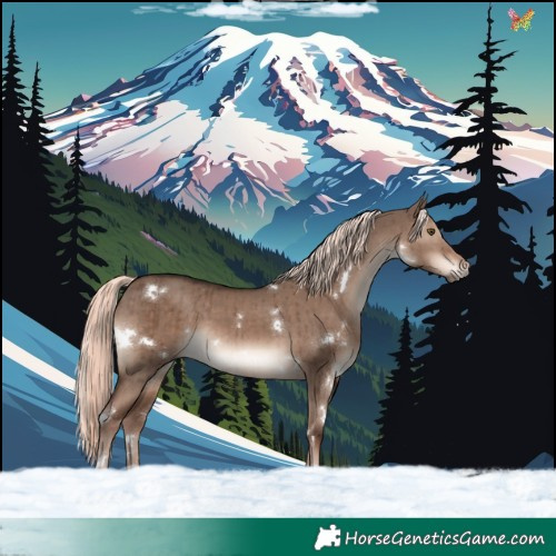 Horse Color:White Spotted Liver Red Dun Mushroom Rabicano Brindle