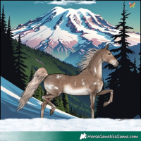 Horse Color:White Spotted Liver Red Dun Mushroom Rabicano Brindle 
