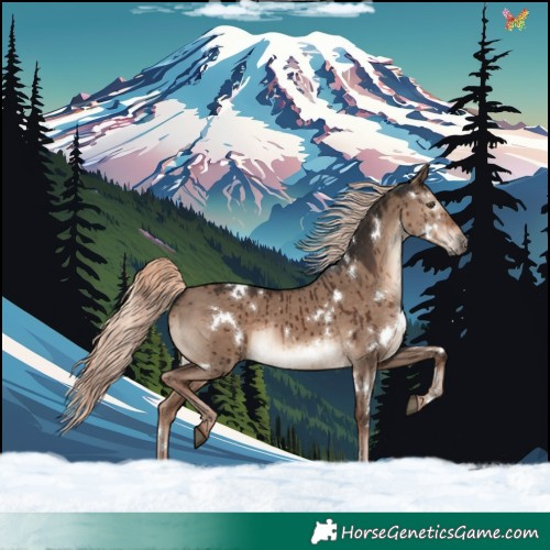 Horse Color:White Spotted Liver Red Dun Mushroom Rabicano Brindle 