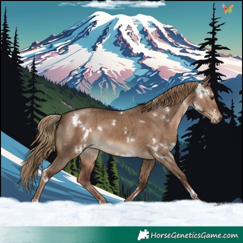 Horse Color:White Spotted Liver Red Dun Rabicano Brindle
