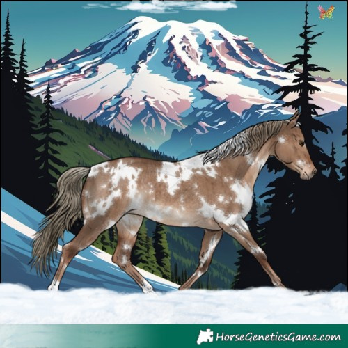 Horse Color:White Spotted Liver Red Dun Rabicano Brindle 