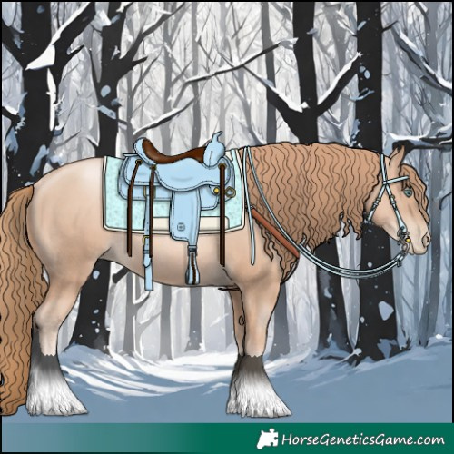 Horse Color:Gold Champagne Pearl Rabicano  and Gold Champagne Pearl Rabicano 