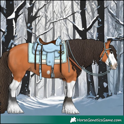 Horse Color:Bay Splash Frame 