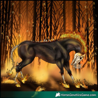 Horse Color:Gray Bay 