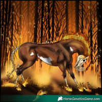 Horse Color:Bay Frame