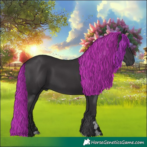 Horse Color:Smoky Black