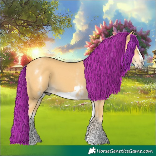 Horse Color:White Spotted Palomino Frame