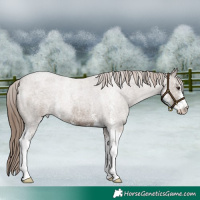 Horse Color:Liver Red Dun Roan Sabino Rabicano