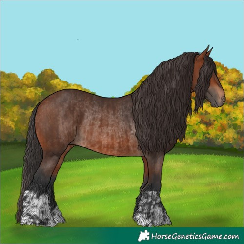 Horse Color:Brown Rabicano and Bay Rabicano