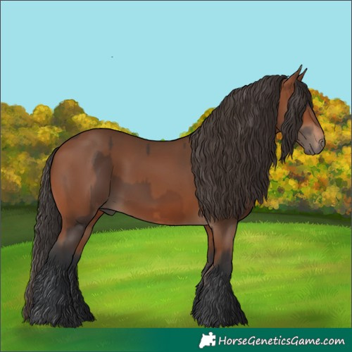 Horse Color:Brown Rabicano  and Bay Rabicano 