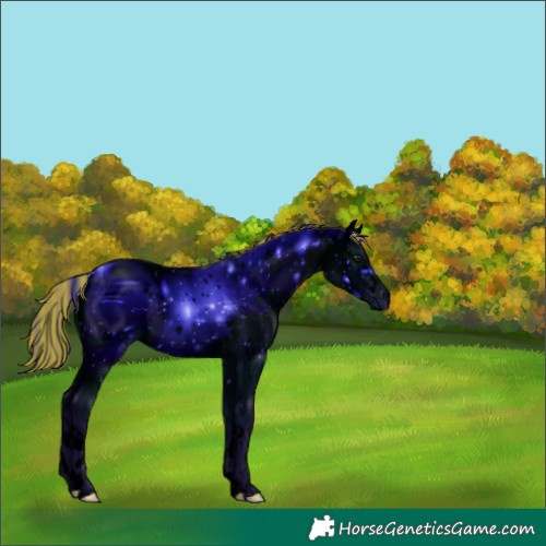 Horse Color:ERROR: UNKNOWN ANOMALY