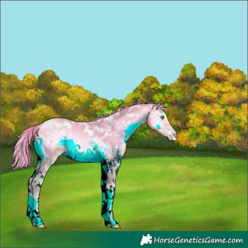 Horse Color:Watercolor White Spotted Buckskin Pearl Onyx 