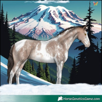 Horse Color:Sable Champagne Sabino Tobiano 