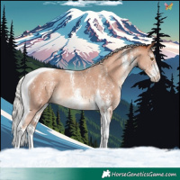 Horse Color:Silver Classic Champagne Sabino Tobiano Rabicano 