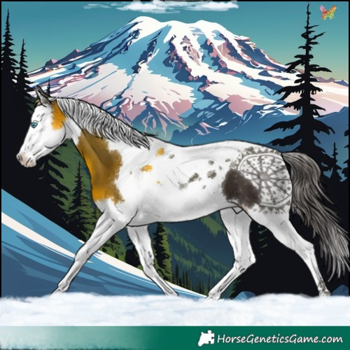 Horse Color:Liver Chestnut Splash Tobiano
