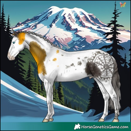 Horse Color:Liver Chestnut Splash Tobiano