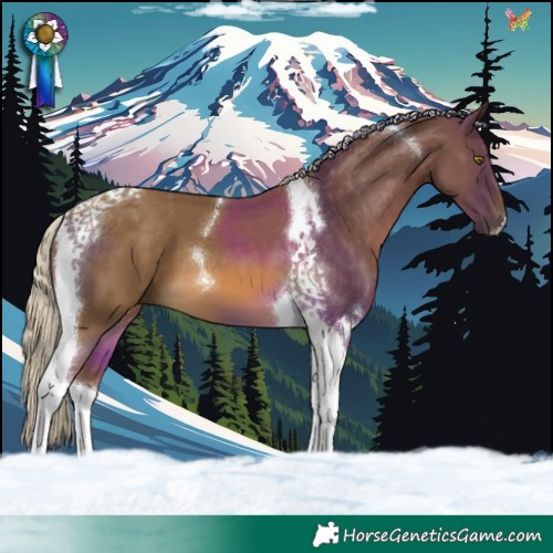Horse Color:Chocolate Palomino Tobiano 