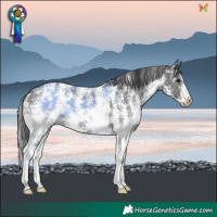 Horse Color:Brown Sabino