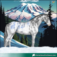 Horse Color:Brown Sabino 
