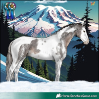 Horse Color:Liver Chestnut Sabino Splash Tobiano 