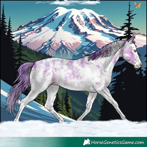 Horse Color:Watercolor Sable Champagne Sabino Splash 