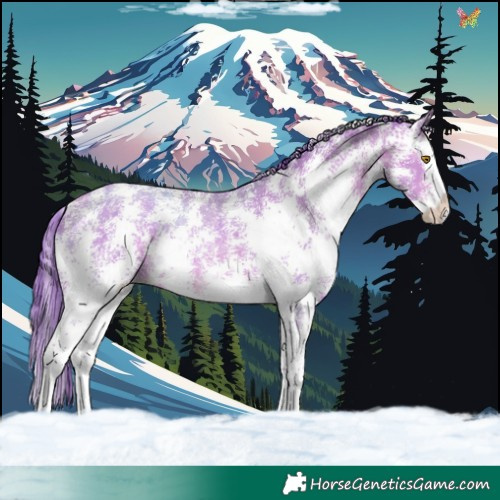 Horse Color:Watercolor Sable Champagne Sabino Splash 