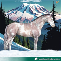 Horse Color:Watercolor White Spotted Gold Champagne Sabino Splash