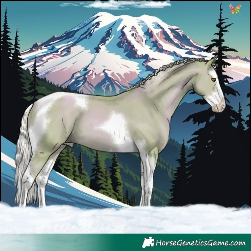 Horse Color:Watercolor Silver Classic Champagne Splash Tobiano 