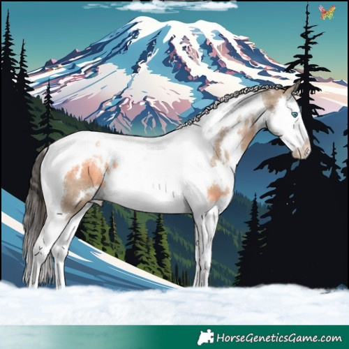 Horse Color:White Spotted Liver Red Dun Splash Tobiano 