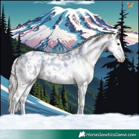 Horse Color:Silver Black Sabino Splash