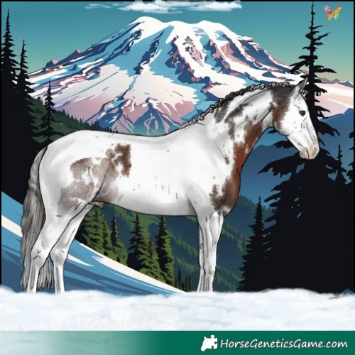 Horse Color:White Spotted Liver Chestnut Splash Tobiano 