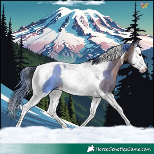 Horse Color:Brown Dun Splash Tobiano 