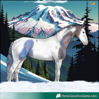 Horse Color:Brown Dun Splash Tobiano
