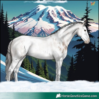 Horse Color:White Spotted Liver Red Dun Sabino Splash