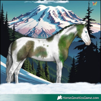 Horse Color:Brown Dun Splash Tobiano 