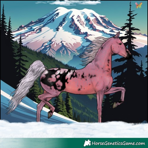 Horse Color:Void Watercolor White Spotted Silver Black Ice Splash Appaloosa Rabicano